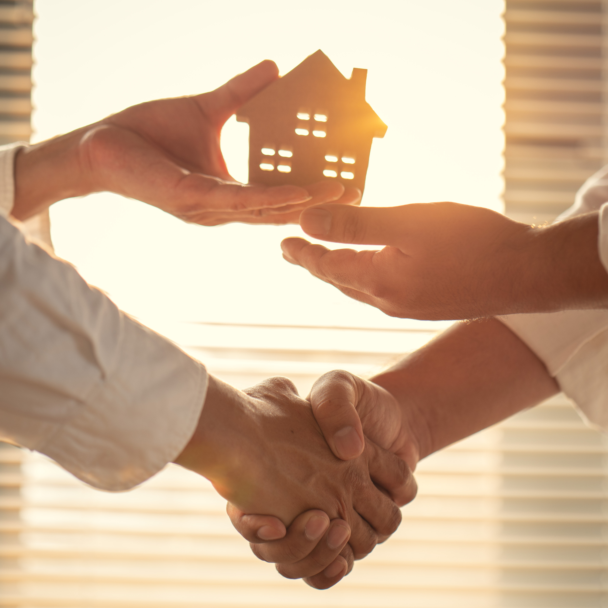 Partenaire professionnel — suivi de projet